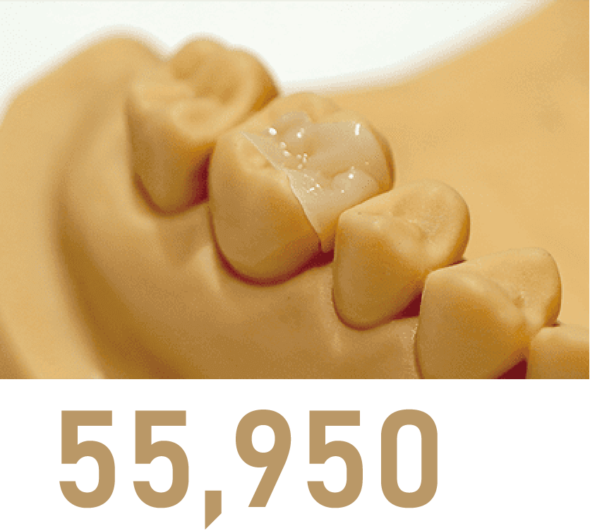 55,950円（税込）※1