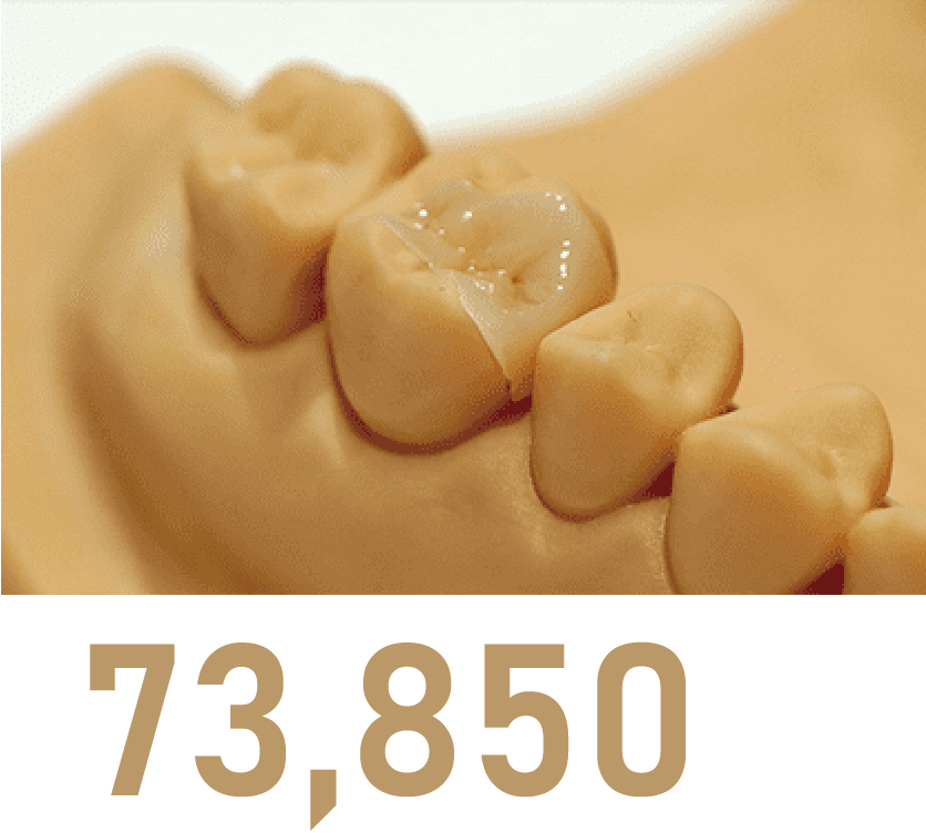 73,850円（税込）※1